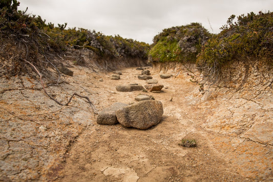Your Ultimate Guide to Excavators, Attachments & Tyres in Australia