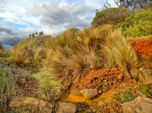 Your Guide to Essential Equipment & Fencing in Australia