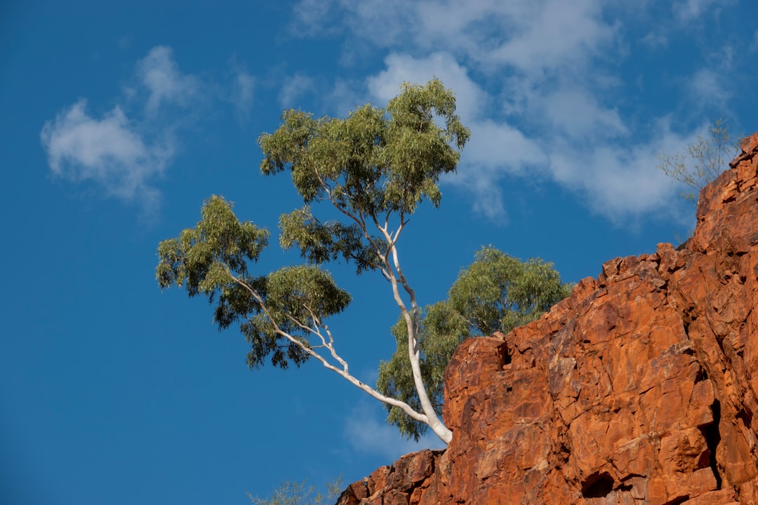 Essential Equipment for Australian Earthmoving: Excavators, Attachments & Tyres