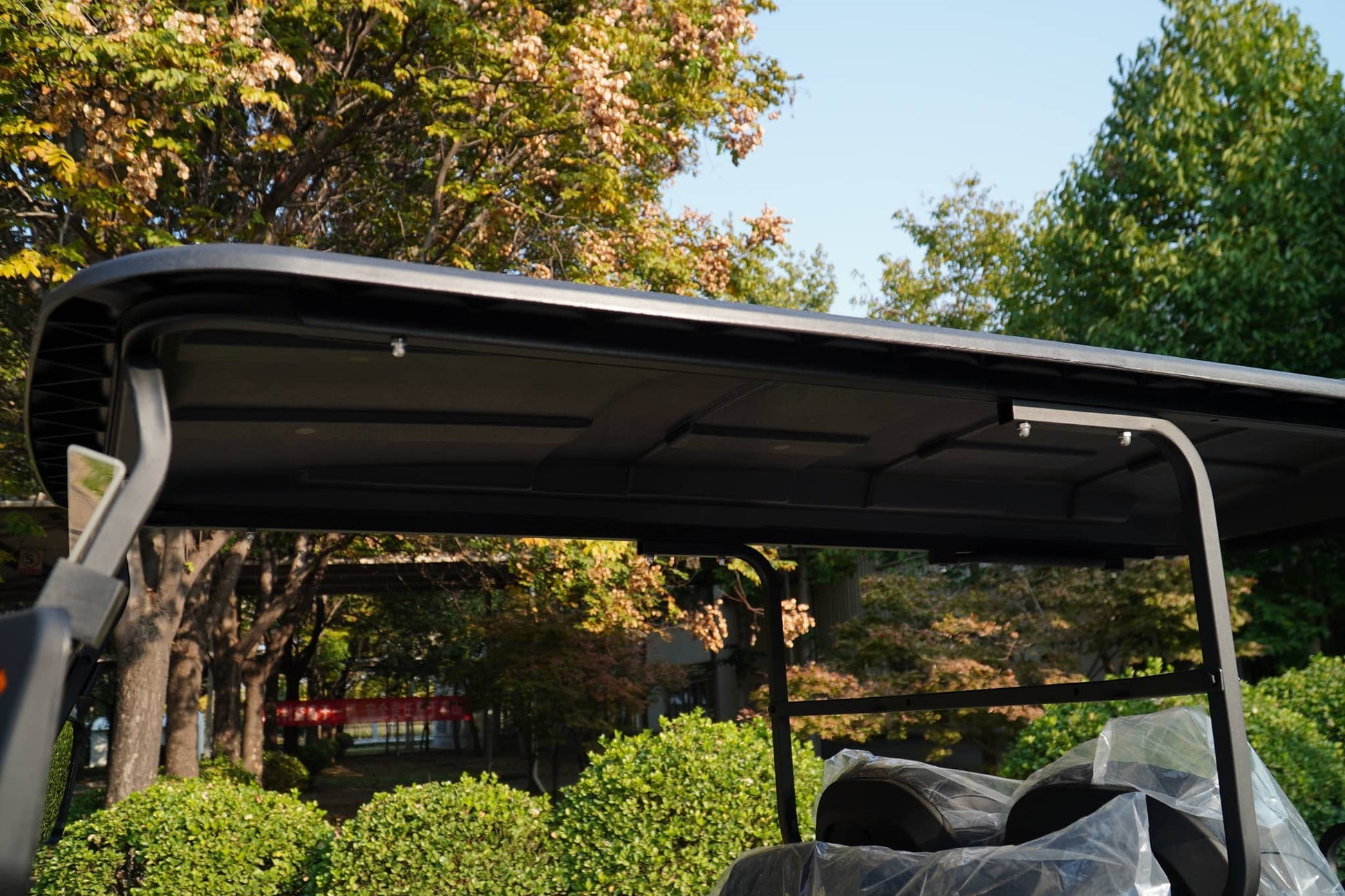 Labadi Engineering Golf Cart roof design showcasing durability in a park setting